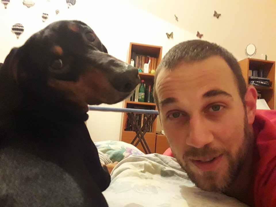 9 REASONS TO ADOPT A DACHSHUND NOW 3