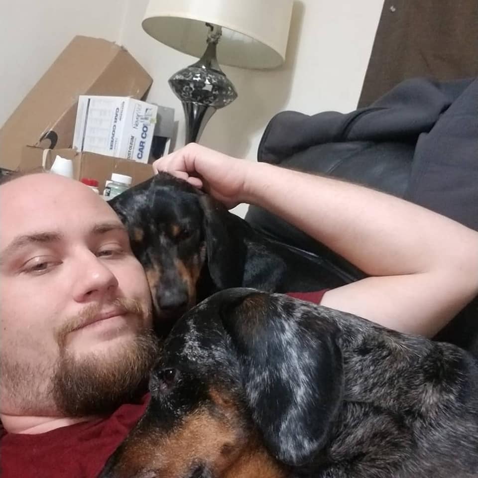 10 Signs Your Dachshund Really Loves You