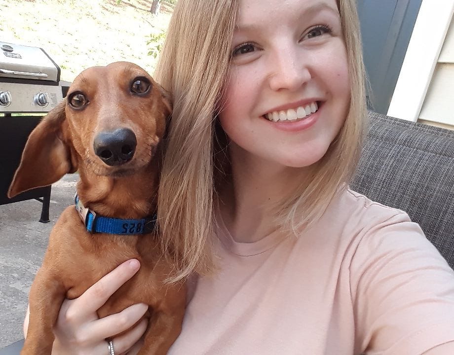 20 Benefits Of Being a Dachshund Owner You Didn’t Know 5