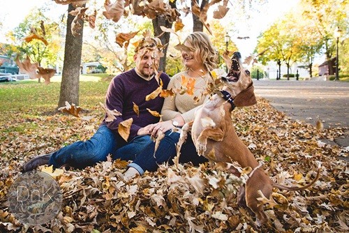 A Dachshund Disturbing His Owner’s Wedding Because Of Jealousness 4