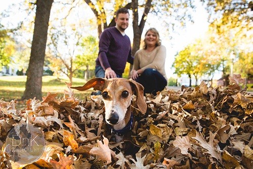 A Dachshund Disturbing His Owner’s Wedding Because Of Jealousness 5