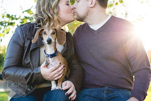 A Dachshund Disturbing His Owner’s Wedding Because Of Jealousness 6