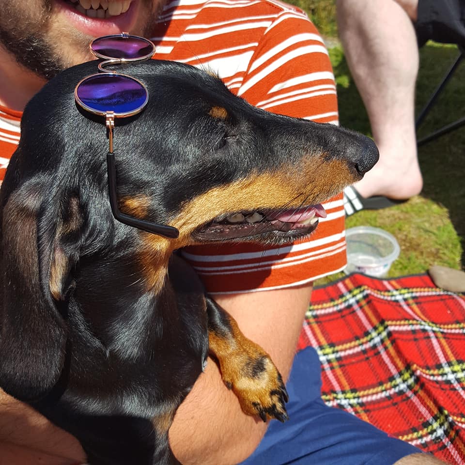 Science Confirms, People Who Often Talk To Their Dachshunds Are Smarter 6