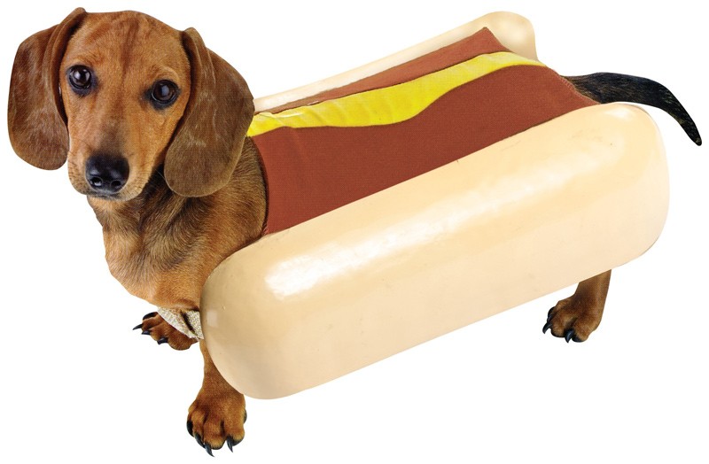 Hey, I am a dachshund not a sausage