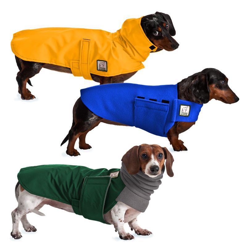  Hello, I am a model I am promoting for dog clothing dachshund