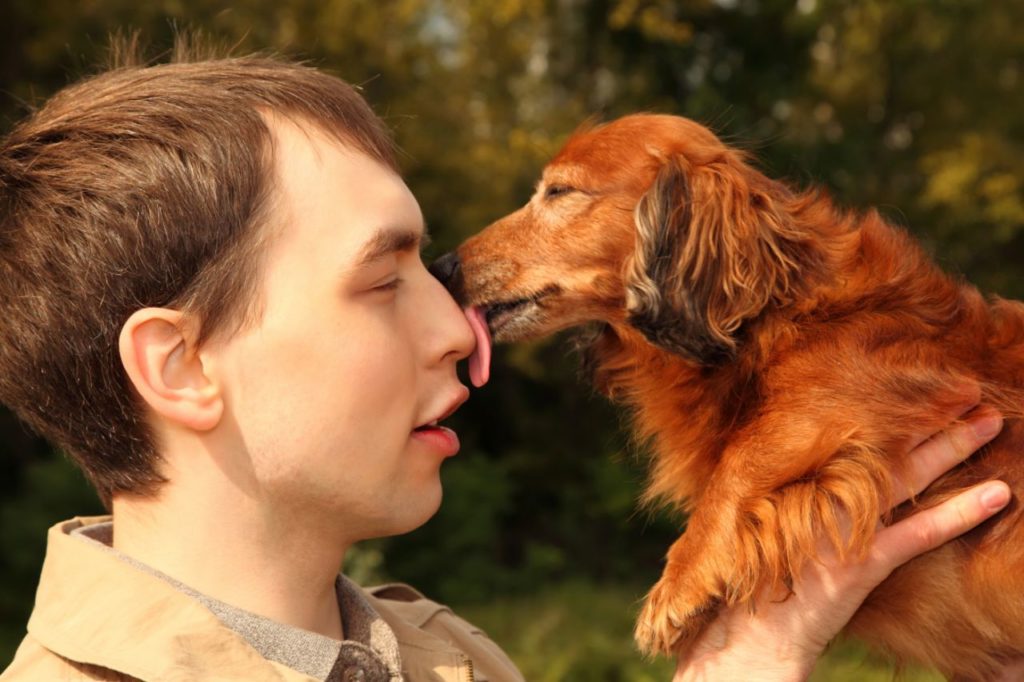 12 Signs Your Dachshunds Think They Are Your Bosses 6