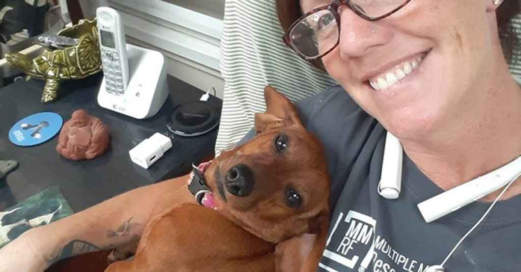 Research Shows That The Dachshund Can Understand Human Language?