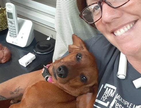 Research Shows That The Dachshund Can Understand Human Language?