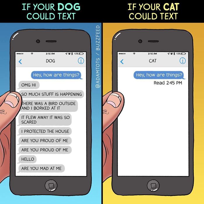 The Difference Between A Dog Person And A Cat Person That Only Insiders Understand 8