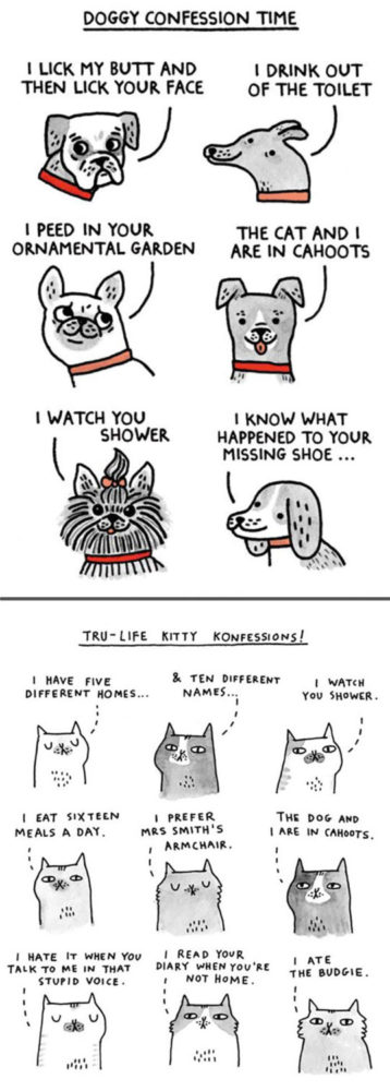 The Difference Between A Dog Person And A Cat Person That Only Insiders Understand 11