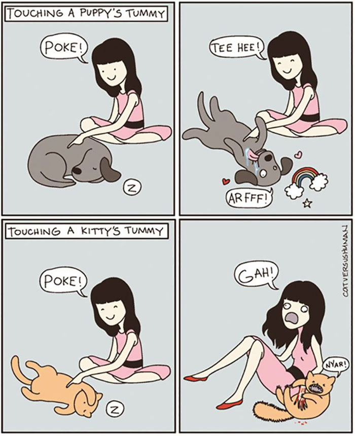 The Difference Between A Dog Person And A Cat Person That Only Insiders Understand 5