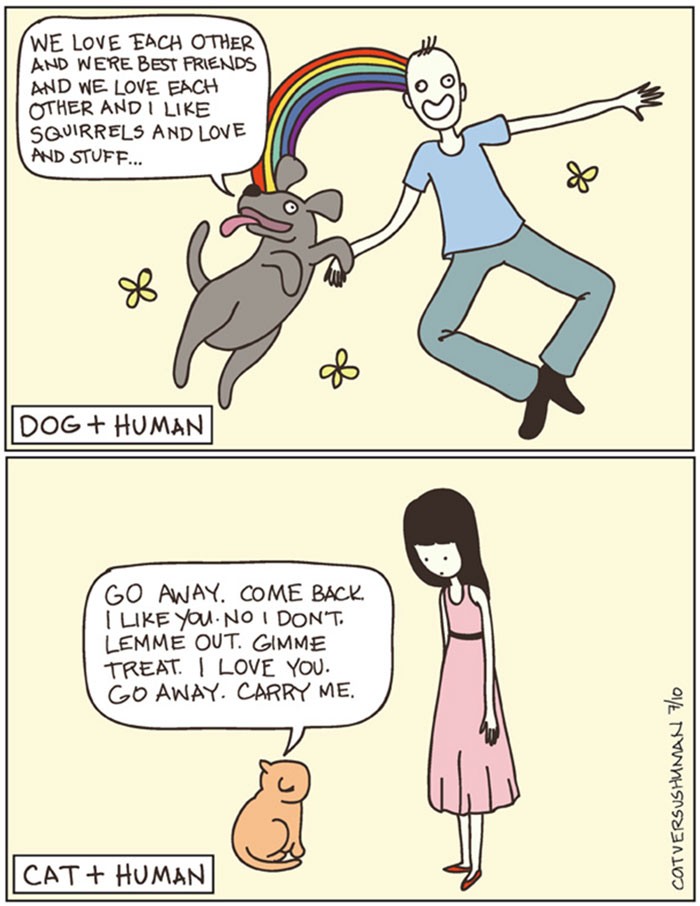 The Difference Between A Dog Person And A Cat Person That Only Insiders Understand 3