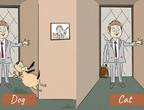 The Difference Between A Dog Person And A Cat Person That Only Insiders Understand