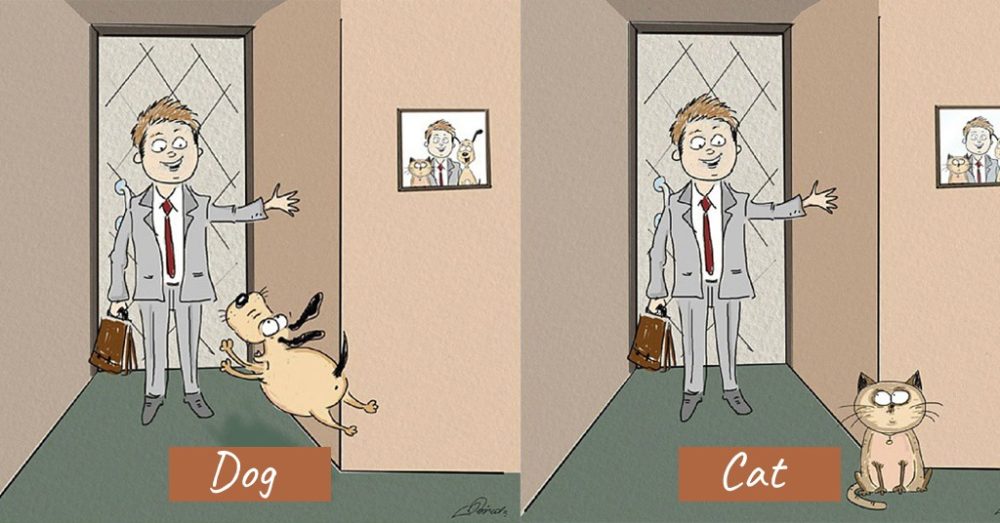 The Difference Between A Dog Person And A Cat Person That Only Insiders Understand