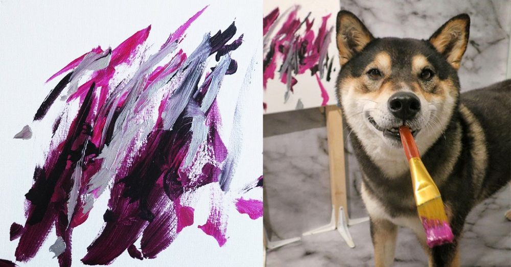 A Shiba Dog Can Paint And Help His Owner Earn $5,000
