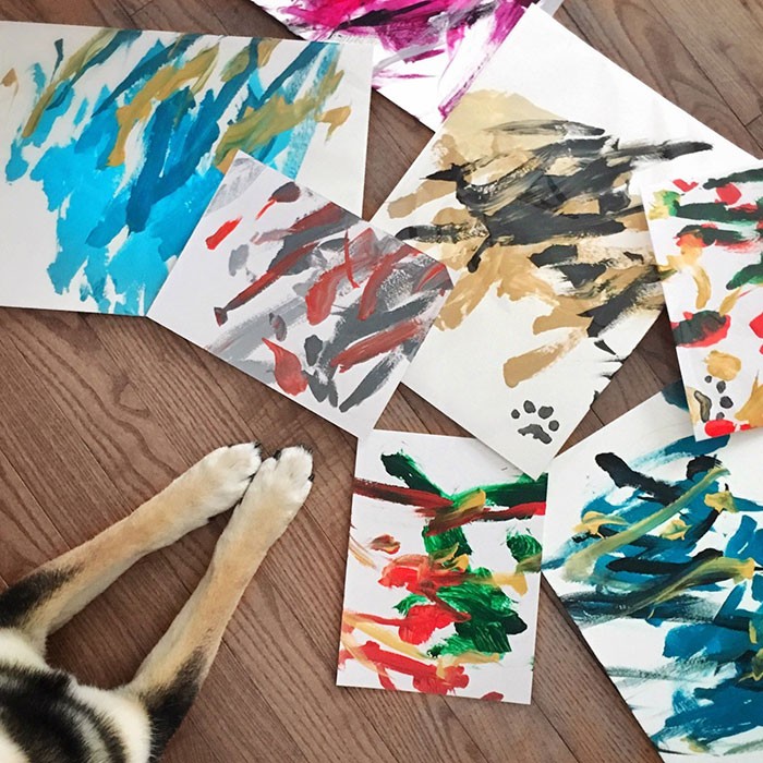 A Shiba Dog Can Paint And Help His Owner Earn $5,000 3