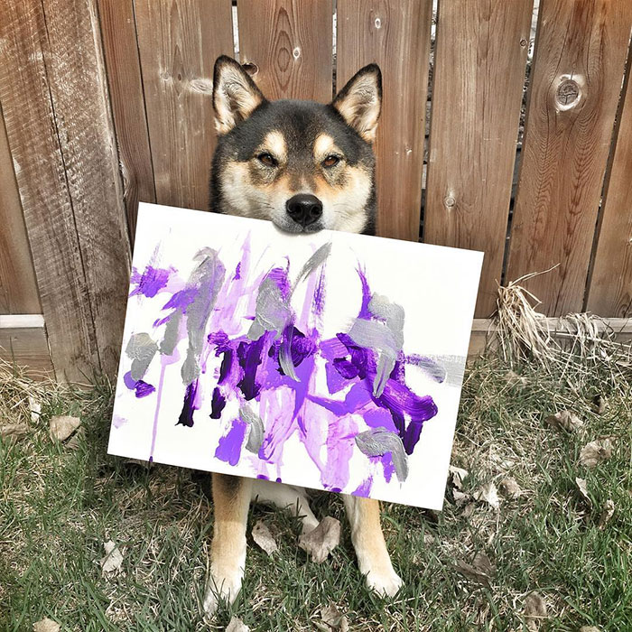 A Shiba Dog Can Paint And Help His Owner Earn $5,000 5